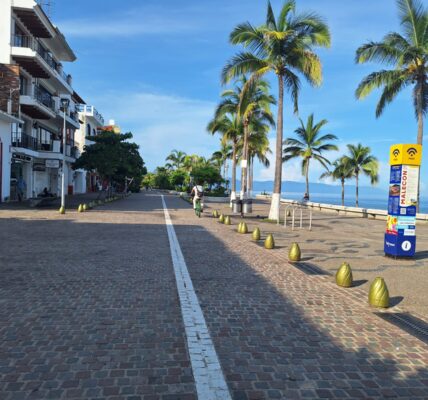 Hasta el lunes darán a conocer resultados de la consulta sobre el malecón