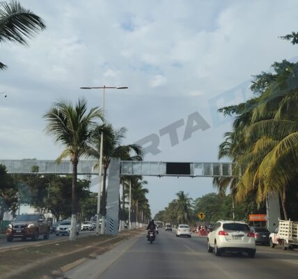 Instalan arco carretero del c5 en Puerto Vallarta para detectar autos robados 