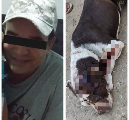 Otorgan suspensión condicional del proceso a hombre que macheteó perrito; tendrá que pagar 20 mil pesos