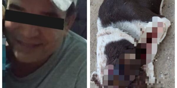 Otorgan suspensión condicional del proceso a hombre que macheteó perrito; tendrá que pagar 20 mil pesos Otorgan suspensión condicional del proceso a hombre que macheteó perrito; tendrá que pagar 20 mil pesos