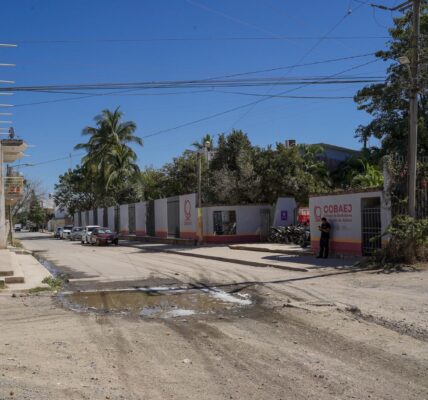 Pide regidora rehabilitación inmediata de alumbrado en calle del COBAEJ