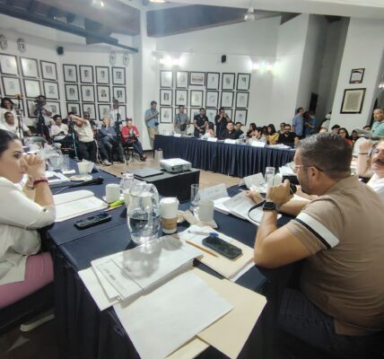 Analizarán en comisiones donación de 3 terrenos para Centro Colmena en Puerto Vallarta