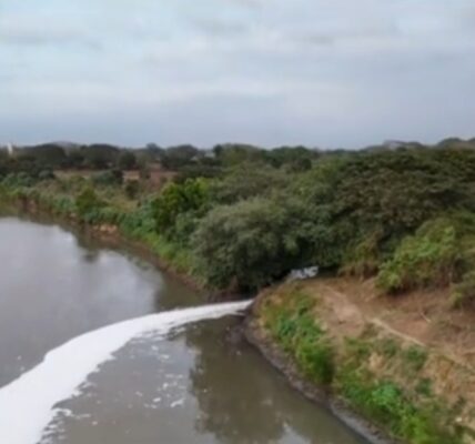 Señalan contaminación al río Ameca; Seapal responde que espuma no es riesgo para la salud