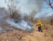 Al 50% controlados incendios en Cabo Corrientes y Tomatlán, afectadas más de 3 mil hectáreas Al 50% controlados incendios en Cabo Corrientes y Tomatlán, afectadas más de 3 mil hectáreas