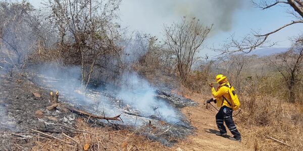 Al 50% controlados incendios en Cabo Corrientes y Tomatlán, afectadas más de 3 mil hectáreas