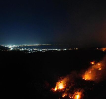600 hectáreas arrasadas en incendio de La Cruz de Huanacaxtle: PC Bahía