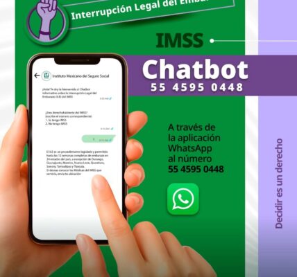 IMSS anuncia lineamientos para garantizar aborto voluntario en México; persisten retos en estados como Jalisco IMSS anuncia lineamientos para garantizar aborto voluntario en México; persisten retos en estados como Jalisco