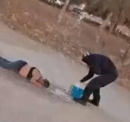 Policías de Vallarta salvan a una mujer de las abejas