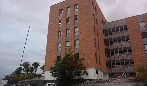 Hay guardias en oficinas municipales; revisa qué trámites puedes realizar