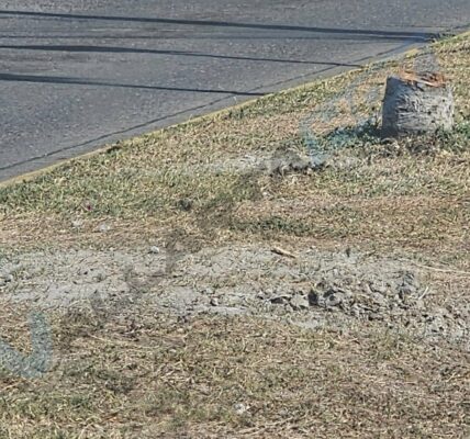 Retiran estructuras publicitarias ilegales de bulevar de Puerto Vallarta