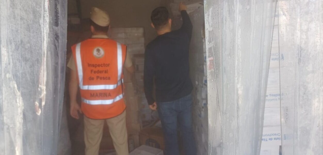 Retuvieron callos y tilapias; continúa CONAPESCA y Marina operativos contra pesca ilegal