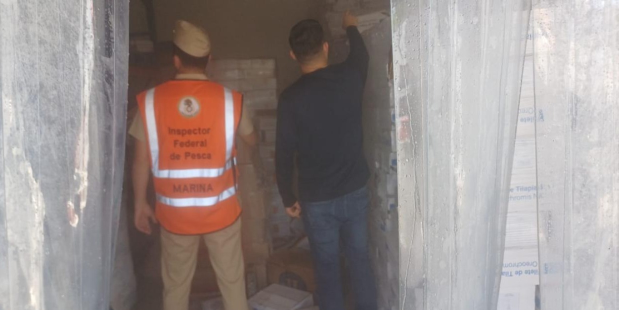 Retuvieron callos y tilapias; continúa CONAPESCA y Marina operativos contra pesca ilegal