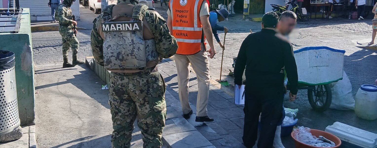 Nueva retención de pescado: 190 kilos señalados por Conapesca en El Pitillal