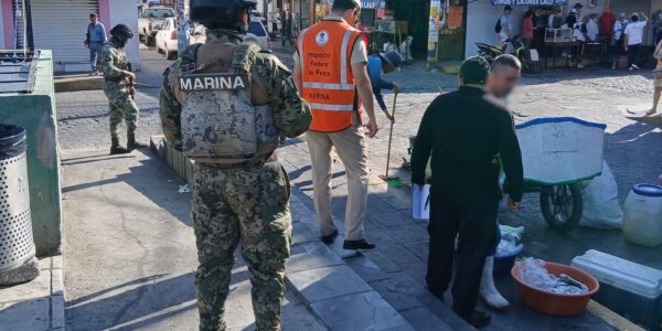 Nueva retención de pescado: 190 kilos señalados por Conapesca en El Pitillal