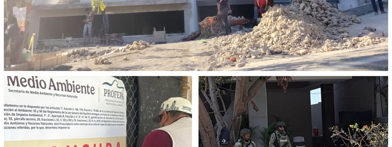 Viola edificio Carmelinas clausura de Profepa