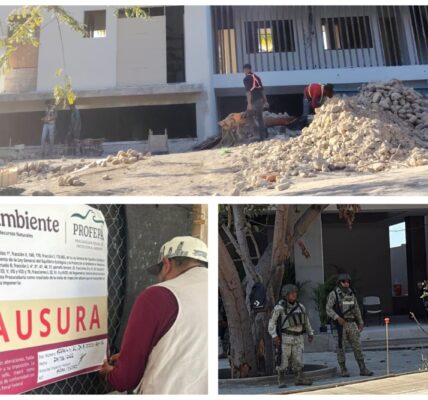 Viola edificio Carmelinas clausura de Profepa