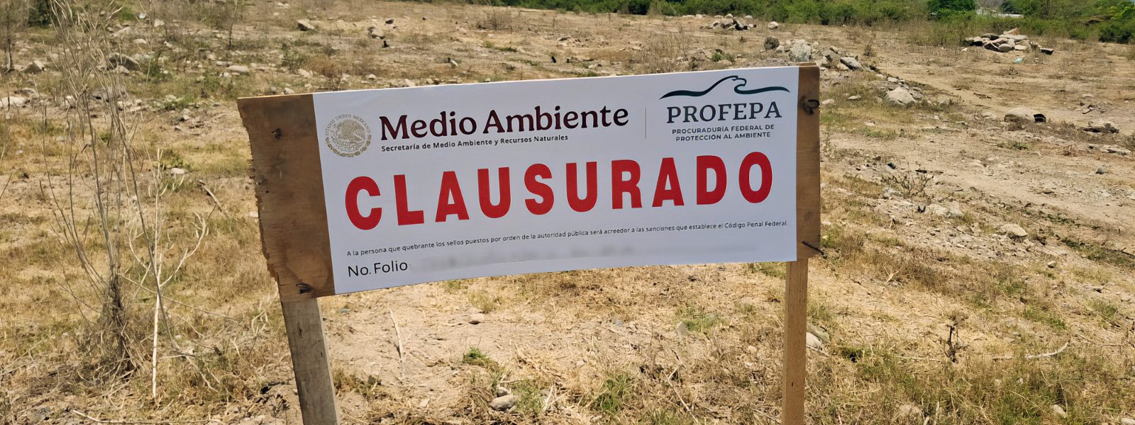 Clausura Profepa ladrilleras en zona de anidación de tortuga casquito en Puerto Vallarta Clausura Profepa ladrilleras en zona de anidación de tortuga casquito en Puerto Vallarta