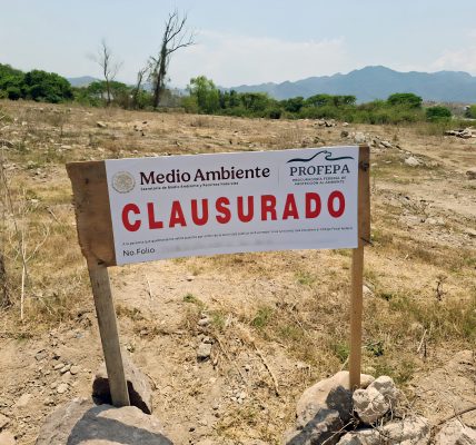 Clausura Profepa ladrilleras en zona de anidación de tortuga casquito en Puerto Vallarta