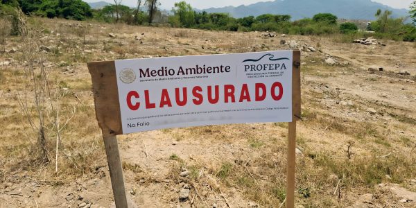 Clausura Profepa ladrilleras en zona de anidación de tortuga casquito en Puerto Vallarta Clausura Profepa ladrilleras en zona de anidación de tortuga casquito en Puerto Vallarta
