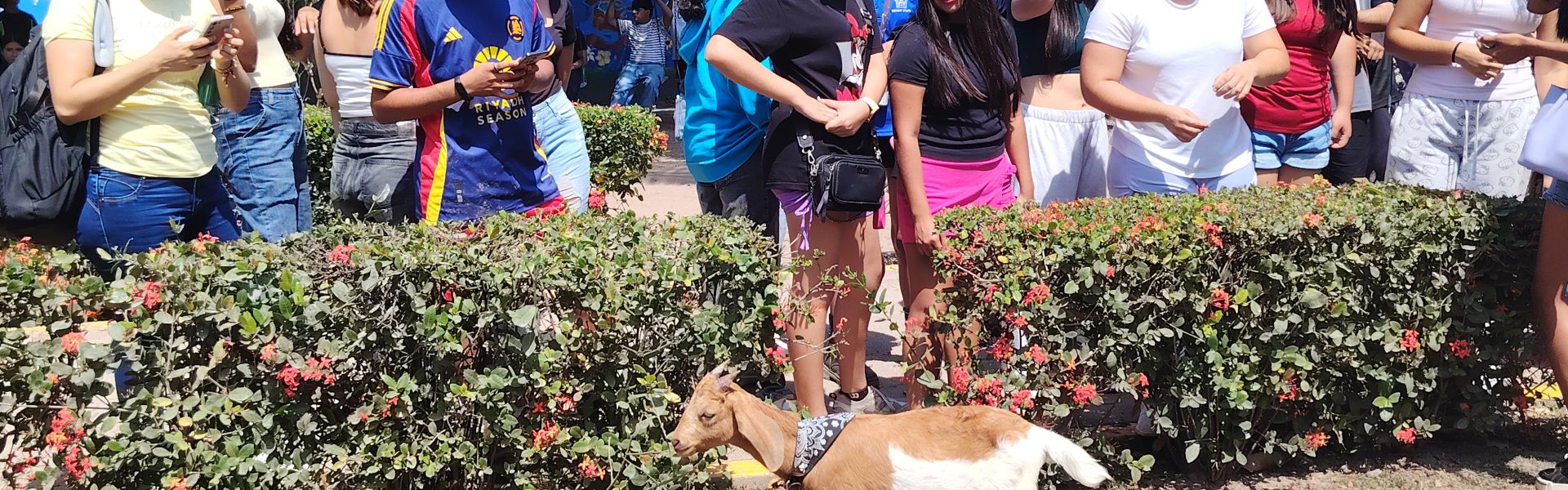 «Cuco Guzmán», la nueva mascota de la Prepa de Ixtapa «Cuco Guzmán», la nueva mascota de la Prepa de Ixtapa