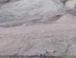 Vecinos denuncian el relleno de una laguna con fauna silvestre Vecinos denuncian el relleno de una laguna con fauna silvestre