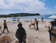 Profepa retira instalaciones no autorizadas en Playa Careyeros Profepa retira instalaciones no autorizadas en Playa Careyeros