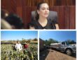 Síndica pone bajo la lupa pipas de OROMAPAS en predio de director de Bahía de Banderas Síndica pone bajo la lupa pipas de OROMAPAS en predio de director de Bahía de Banderas